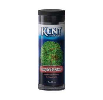 Kent Lugols Solution 1 oz. Online Hot Sale