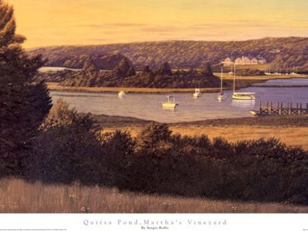 Quista Pond, Martha s Vineyard Online Hot Sale