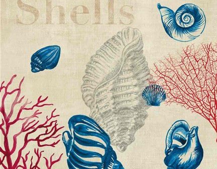 Shell Study Online