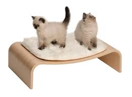 Vesper V-Lounge Poplar Elevated Cat Bed Supply