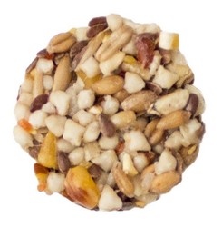 Sunseed SunSations Nutty Tidbits Bird Treat 3.5oz Sale