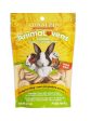 Sunseed AnimaLovens Cranberry-Orange Cookies For Small Animals 3.5oz on Sale