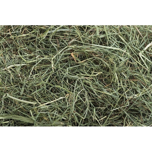 Small Pet Select Diamond Cut Super Soft Timothy Hay For Cheap