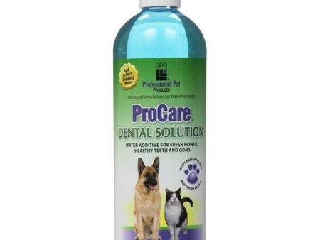 PPP Procare Dental Solution 16oz For Cheap