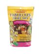 Sunseed Fabulous Fruit Mix for Parrots & Conures 12oz Online now