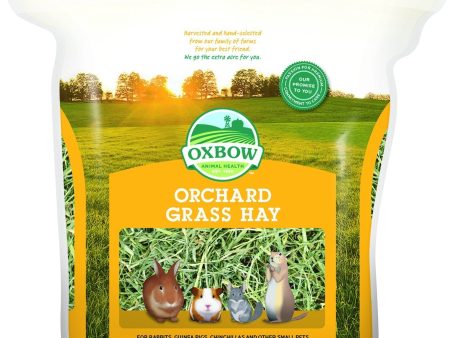 15% OFF: Oxbow Orchard Grass Hay 15oz Online now