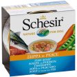 Schesir Fish Soup Canned Dog Food 156g Fashion